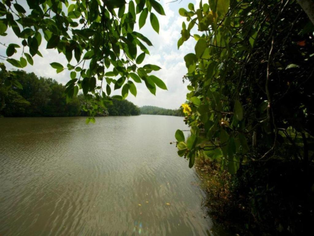 Mangrove Escapes Resort Bentota Luaran gambar