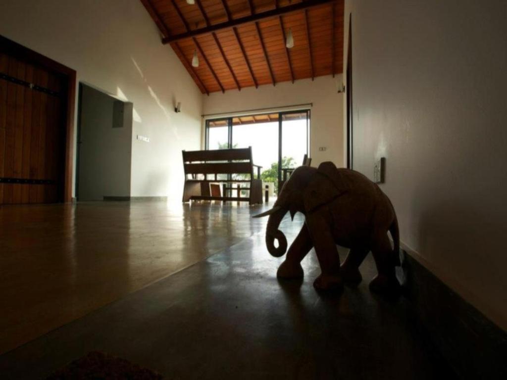 Mangrove Escapes Resort Bentota Luaran gambar