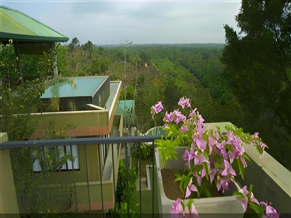 Mangrove Escapes Resort Bentota Luaran gambar