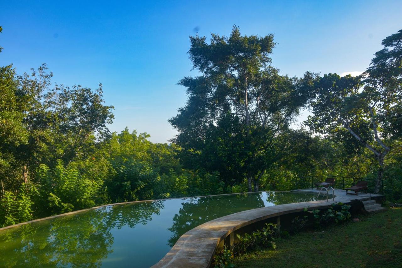 Mangrove Escapes Resort Bentota Luaran gambar